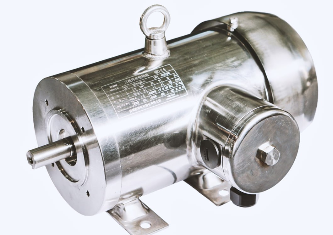 IP66 Edelstahl Washdown Motor