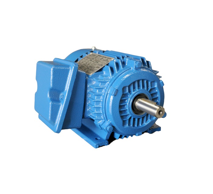 NEP-Serie Premium NEMA Motor
